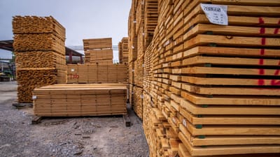 Hautes piles de planches en bois stockées à l'extérieur dans une scierie.