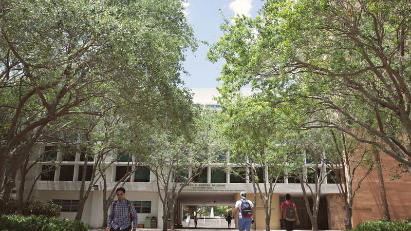 Des étudiants marchent sur un campus universitaire ensoleillé à Coral Gables, en Floride.