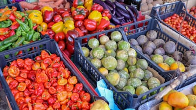 marché, depuis, fruit, supermarché, alimentaire, en bonne santé, caisse, abondance, légume, depuis, abondance, abondance, abondance, abondance, abondance