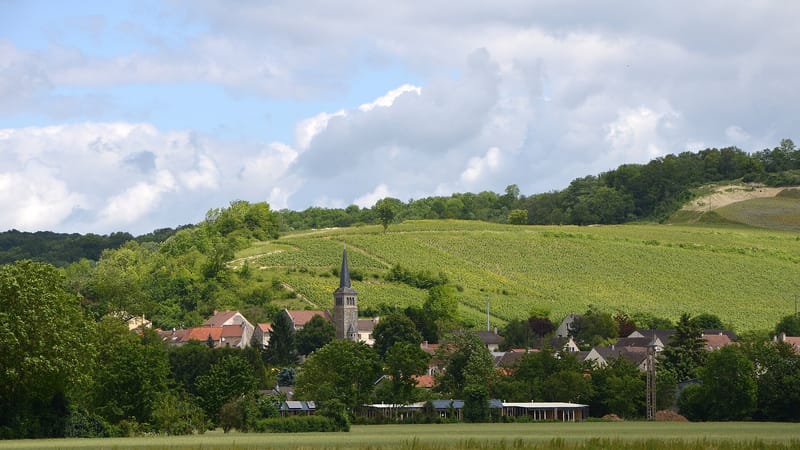 Château-Thierry — Eglise de Brasles DSC 0052