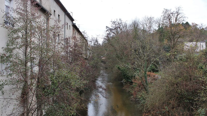 Cusset — Sichon depuis le pont de la Mère, vers l'amont (Cusset) 2025-11-23