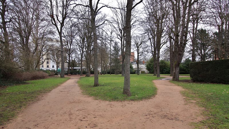 Vichy — Vue du parc des Célestins depuis le sud-ouest 2025-01-26