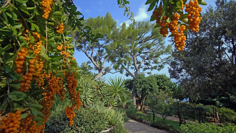 Cap-d'Ail — Parc Sacha Guitry, Ville de Cap d'Ail