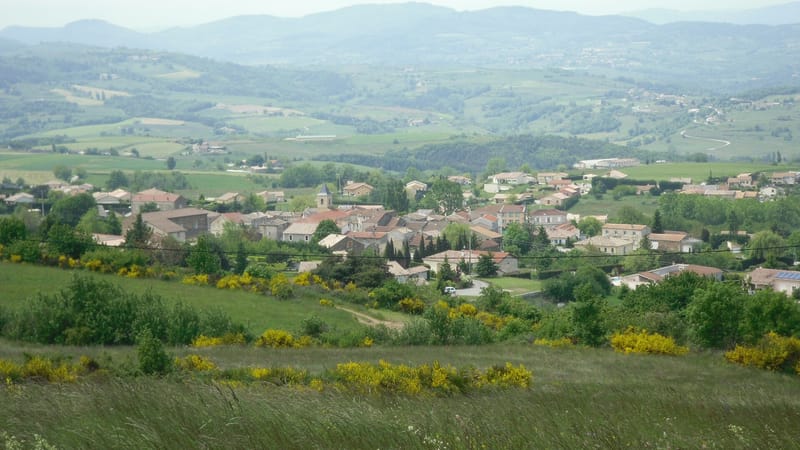 Tournon-sur-Rhône — Plats