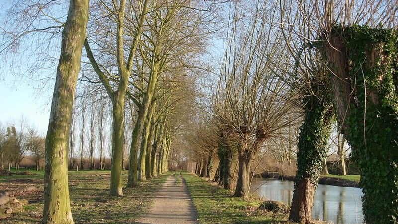 Romilly-sur-Seine — Romilly sur Seine La Béchère samedi 3 février 2007 03