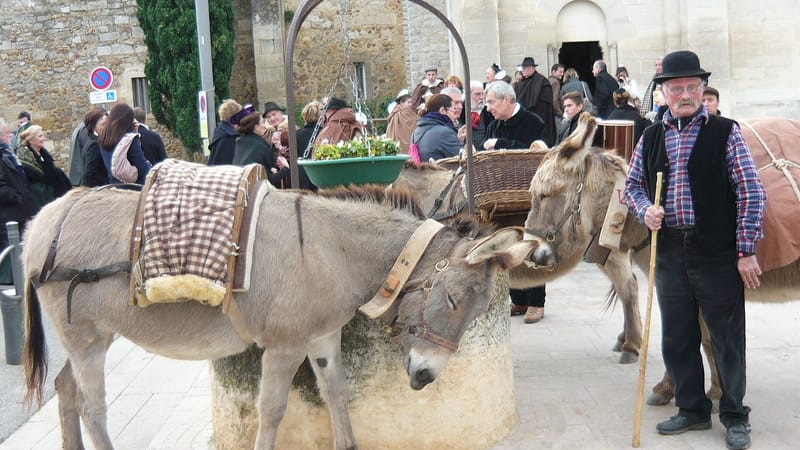 Saint-Martin-de-Crau — AneProvence1