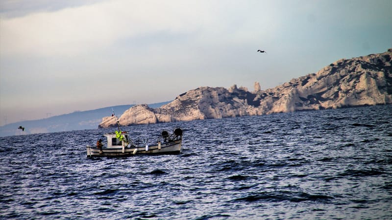 Marseille 8e Arrondissement — Back to the port, Marseille (30959999614)