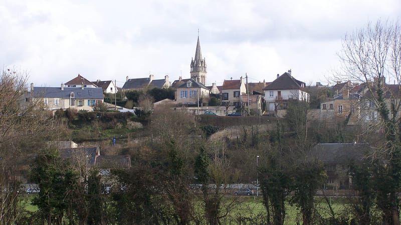 Ifs — Fleury-sur-orne-mars2006