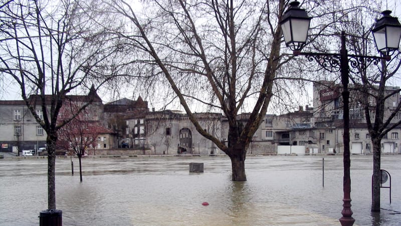 Cognac — Crue-cognac