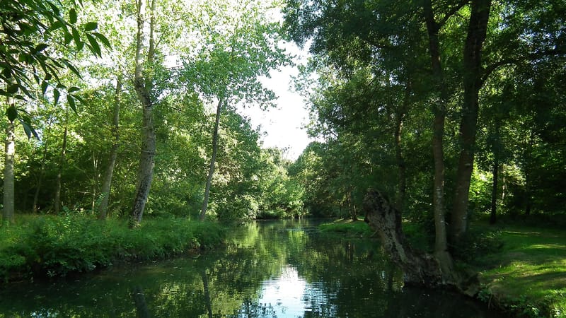 Pons — Seugne à Pons2