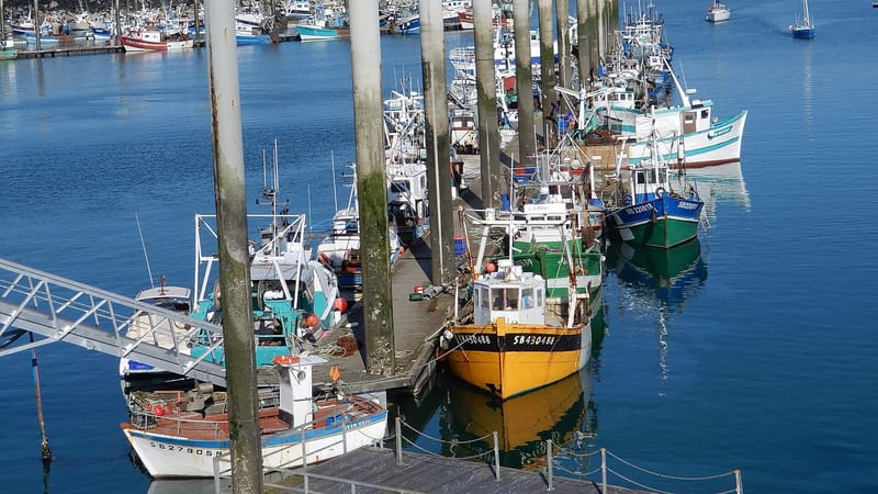 Saint-Quay-Portrieux — Saint-Quay-Portrieux - Port de pêche