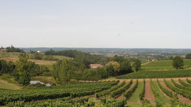 Monbazillac — Colombier-dordogne