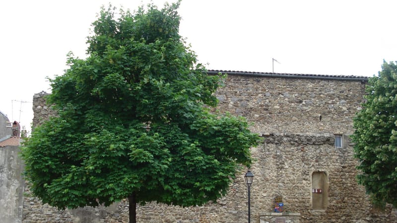 Saint-Vallier — St Vallier remparts