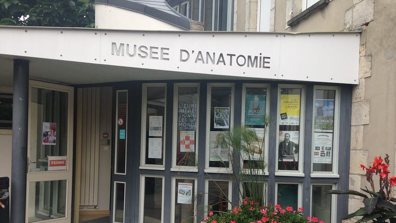 Le Neubourg — 2016 - Le Neubourg - Musée de l'écorché d'anatomie03