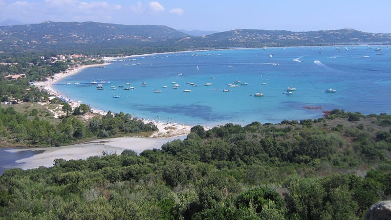 Porto-Vecchio — Lecci