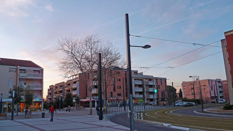 Blagnac — Blagnac - Avenue des Pins - 20101231 (1)