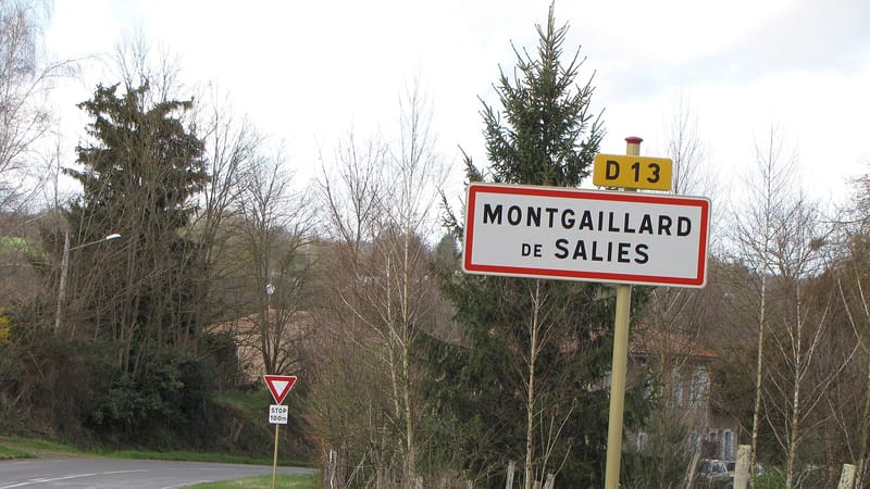 Mane — Montgaillard-de-Salies