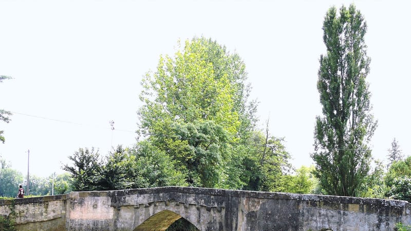 Pavie — Pavie - Vieux Pont -2