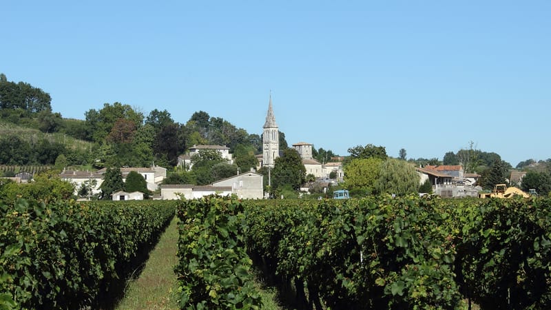 Vayres — Vue du bourg de Saint-Michel de Fronsac depuis les vignes