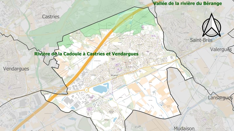 Baillargues — 34022-Baillargues-ZNIEFF1