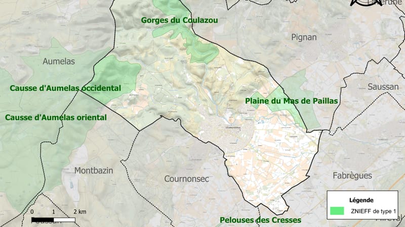Cournonterral — 34088-Cournonterral-ZNIEFF1