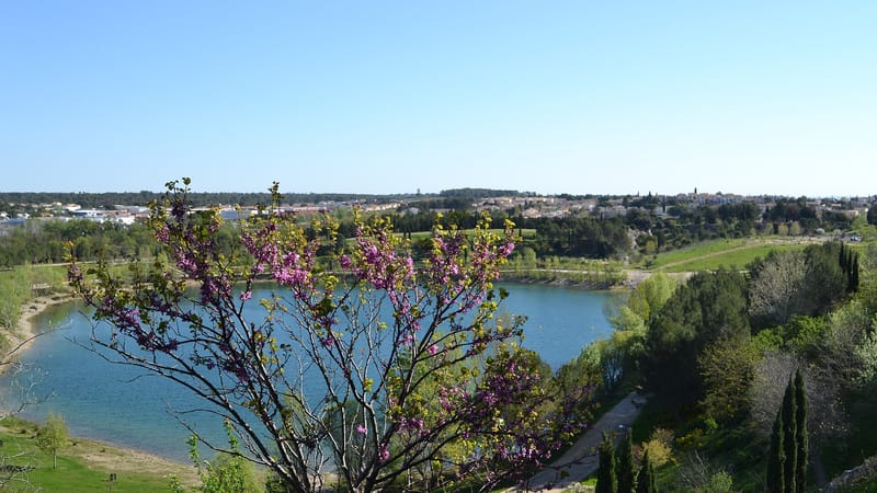 Le Crès — Lac du Crès
