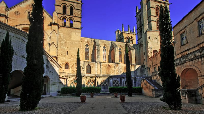 Montpellier — Cathédrale Saint-Pierre de Montpellier (2403792242)