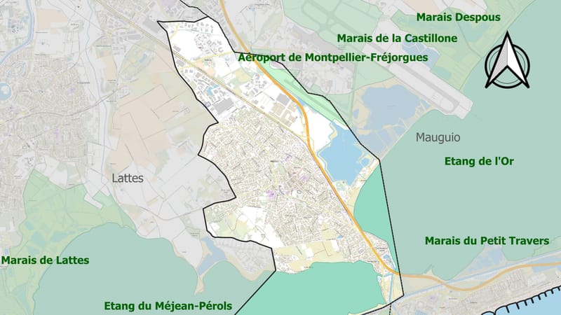 Pérols — 34198-Pérols-ZNIEFF1