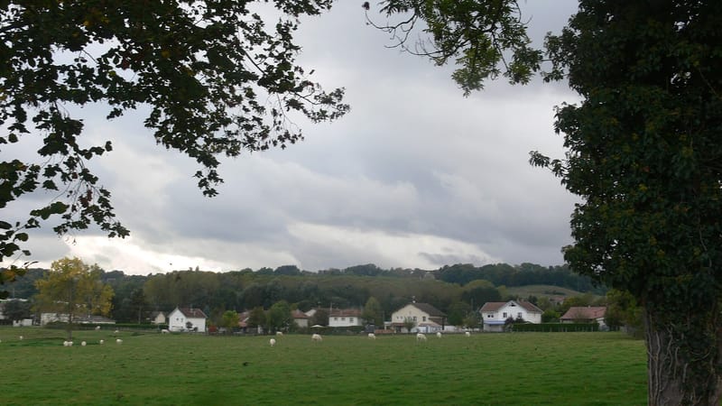 Saint-André-le-Gaz — Saint-André-le-Gaz - pré entre la voie de chemin de fer et le village