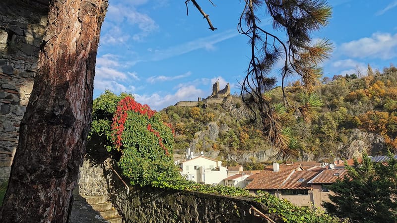 Vienne — Montée rue Professeur Louis Vialleton