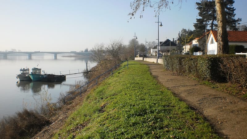 Sainte-Luce-sur-Loire — Rive de Loire à Bellevue - Sainte-Luce-sur-Loire