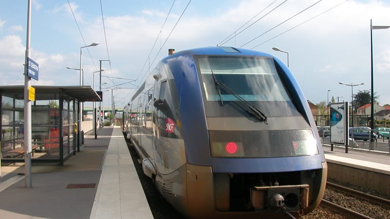 Saint-Sébastien-sur-Loire — Saint-Sébastien-sur-Loire Frêne-Rond01