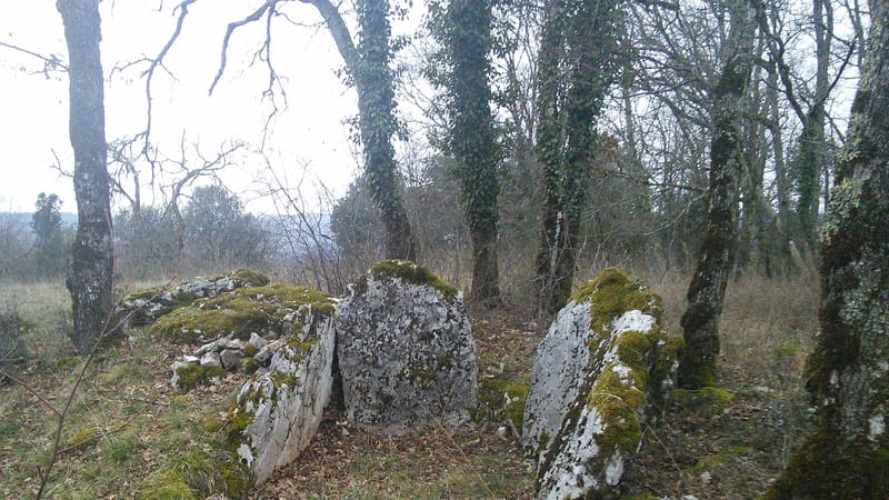 Souillac — Dolmen de Cartayroux 