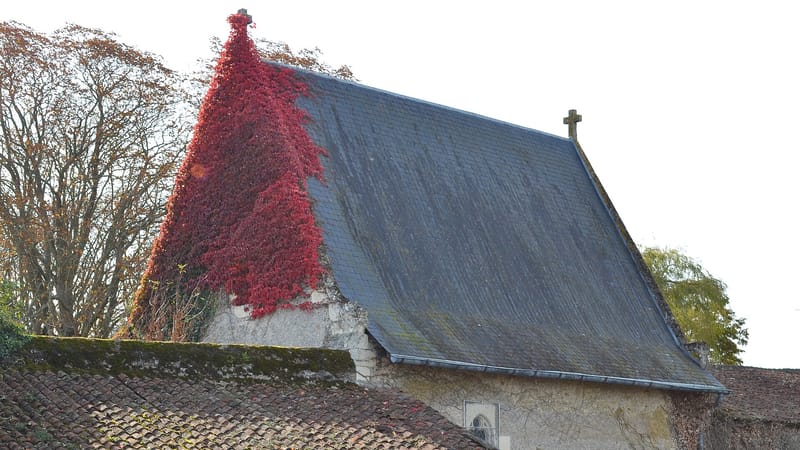 Chemillé-en-Anjou — Chemillé - Chapelle Sorinières