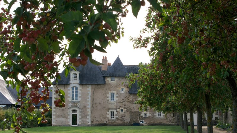 Saint-Barthélemy-d'Anjou — Manoir de la Ranloue 9