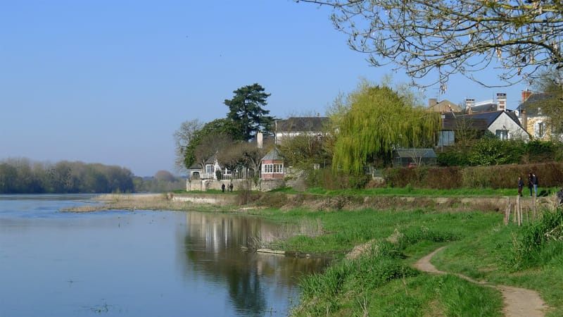 Sainte-Gemmes-sur-Loire — P1320093 49 Ste Gemmes sur Loire chemin xxxx rwk
