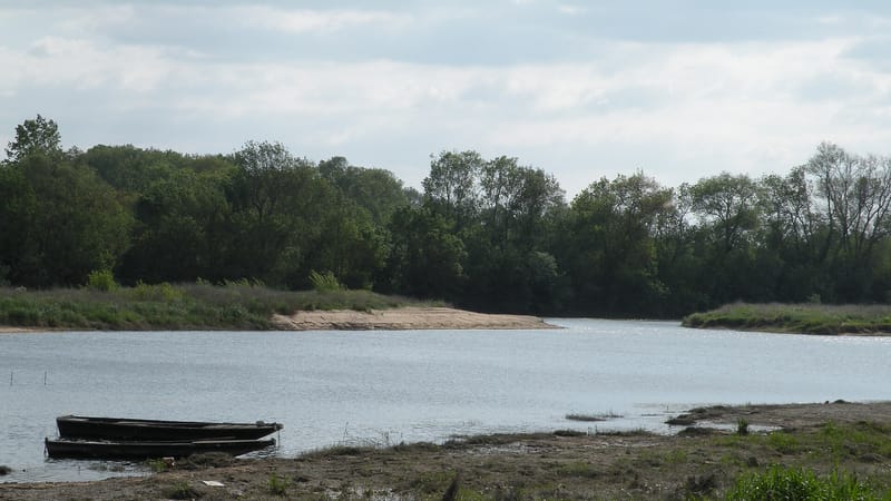Sainte-Gemmes-sur-Loire — Sainte-Gemmes-sur-Loire rivesLoire