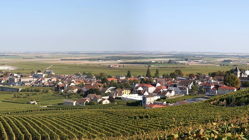 Avize — Avize Marne France panorama