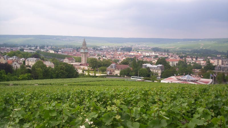 Épernay — View of Épernay from Mont Bernon