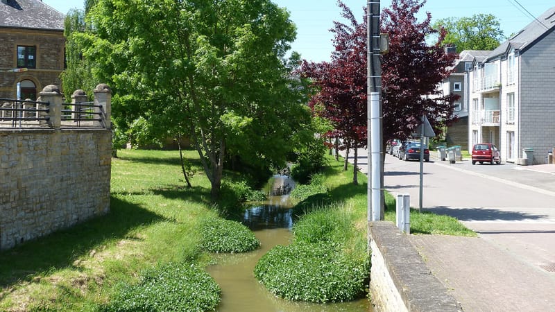 Mont-Saint-Martin — Aubange - ruisseau (2013)