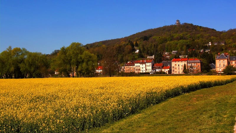 Le Ban-Saint-Martin — Rapsfeld und Mont St-Quentin