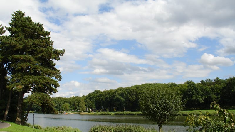 Creutzwald — Creutzwald lac 07