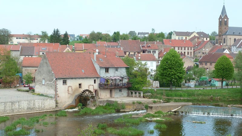 Sarreguemines — Moulin de Sarreinsming