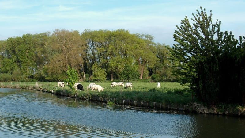 Bourbourg — Canal de Bourbourg - panoramio