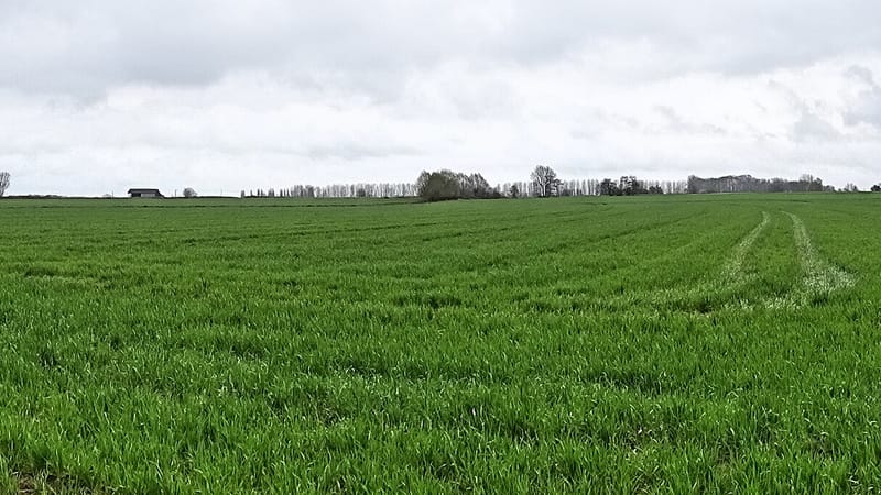 Genech — Vue panoramique en campagne de Genech en 2023