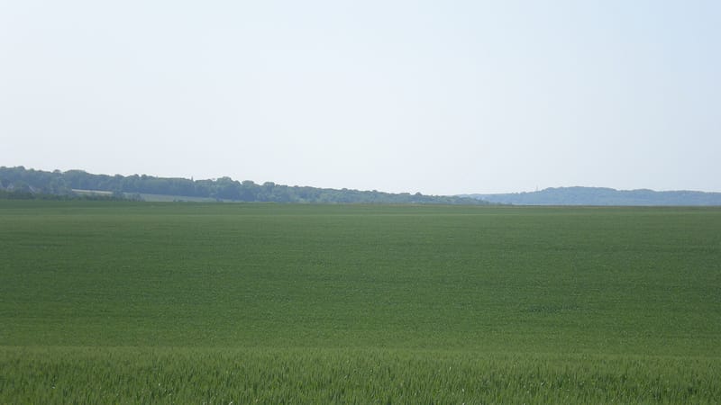 Airion — Airion (Oise), vallée jaune