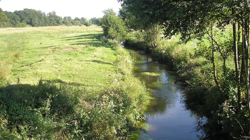 Flers — FranceNormandieStGeorgesDesGroseillersLaLandePatryLaVere