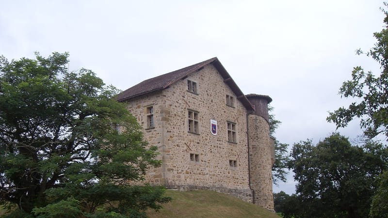 Aïcirits-Camou-Suhast — Château de Camou