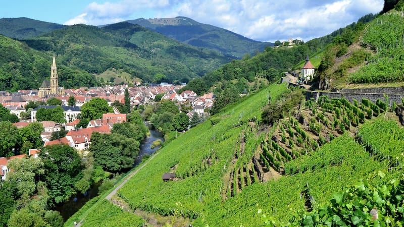 Thann — Thann vue depuis le Rangen