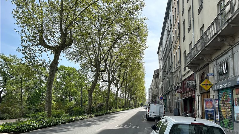 Lyon 4e Arrondissement — Cours d’Herbouville (Lyon, 2026)
